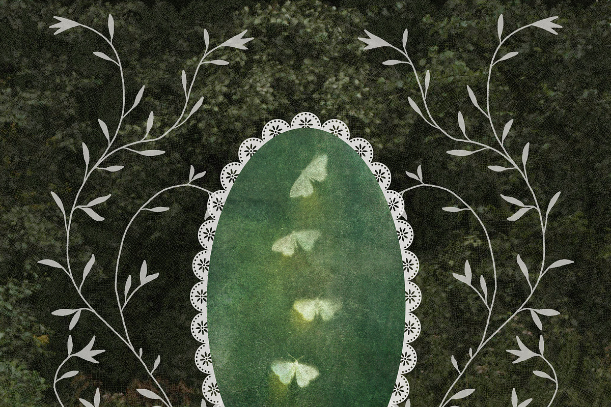 Understory Organic Backgrounds, a Background Graphic by alonahaidash (Photo 5 of 15)