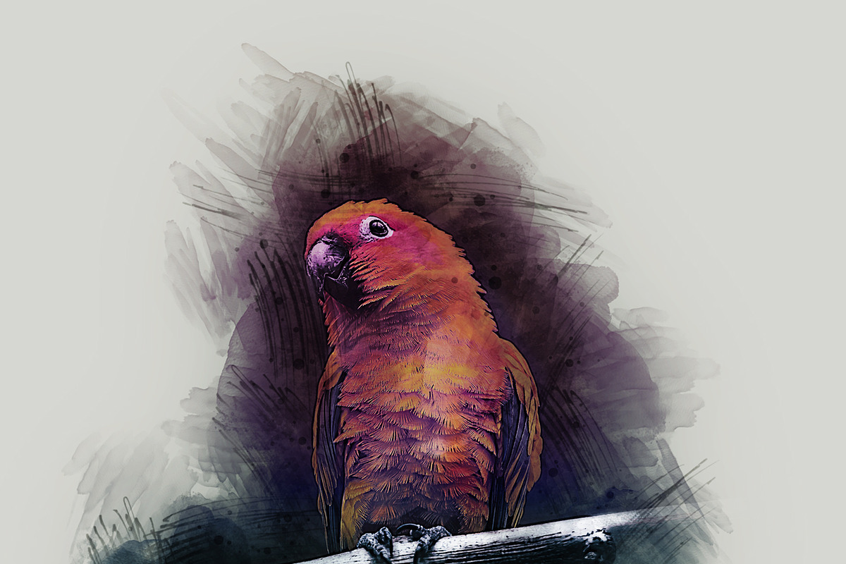 Pro Watercolor Paint, an Action Add-On by MRI STUDIO (Photo 13 of 18)