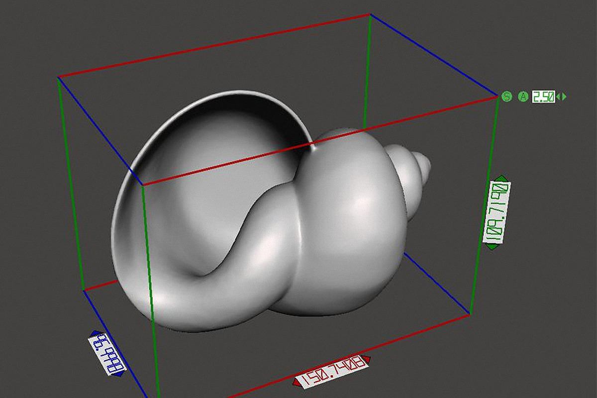 7 Shell Planter for 3D Printing, an Object 3D Model by Kseniya-Omega (Photo 5 of 17)