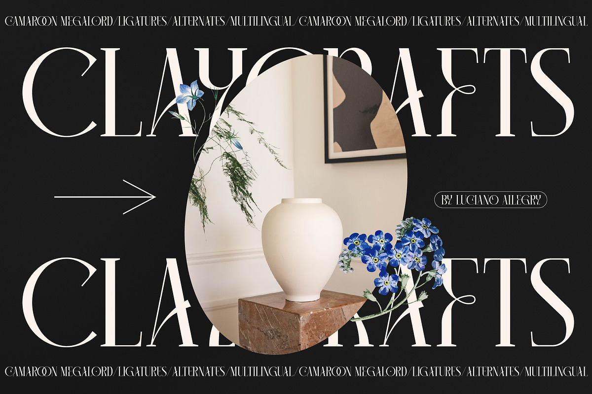 Camaroon Megalord Serif Display Font, a Serif Font by Storytype Studio (Photo 10 of 15)