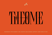 Theome – Serif Display Font, a Serif Font by MooneseyeType (Thumbnail 1 of 9)