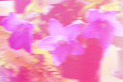 30 Soft Glow Gradient Texture, a Background Graphic by Waterystrokes (Thumbnail 5 of 7)