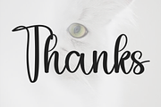 Showtime, a Handwritten Font by FreshTypeINK (Thumbnail 6 of 7)