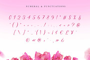Wonderful Day - Romantic Script, a Script Font by Almarkhatype (Thumbnail 11 of 11)