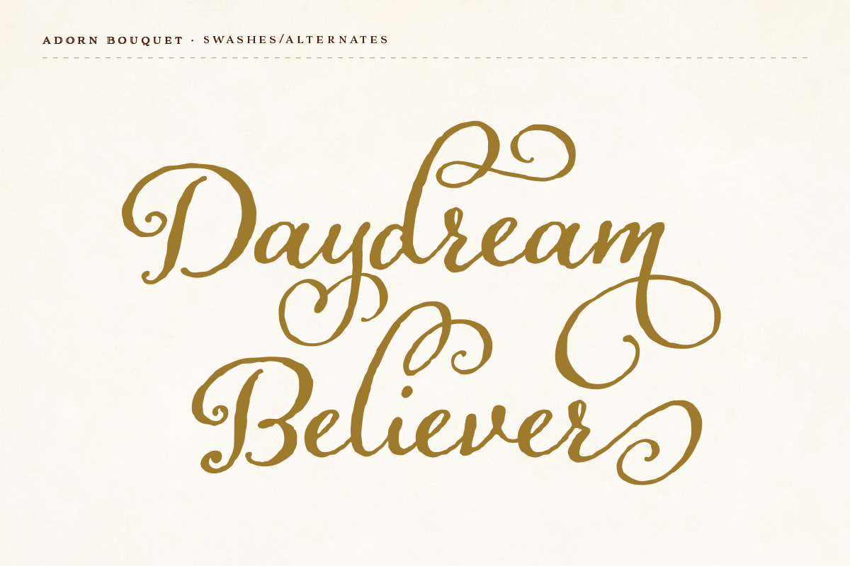 Adorn Collection, a Sans Serif Font by Laura Worthington (Photo 21 of 62)