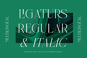 Nelhinco Modern Display Serif, a Serif Font by Letterena Studios (Thumbnail 2 of 15)