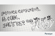 Airy, a Script Font by Paratype (Thumbnail 4 of 4)