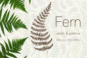Fern. Line art sketch and patterns, a Decorative Illustration by Canatic (Thumbnail 1 of 6)