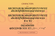 Servegin - Modern Serif Font, a Serif Font by Letterhend Studio (Thumbnail 7 of 9)