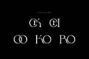 Mechooa - Modern Elegant Font, a Serif Font by Iqsiart Studio (Thumbnail 7 of 8)