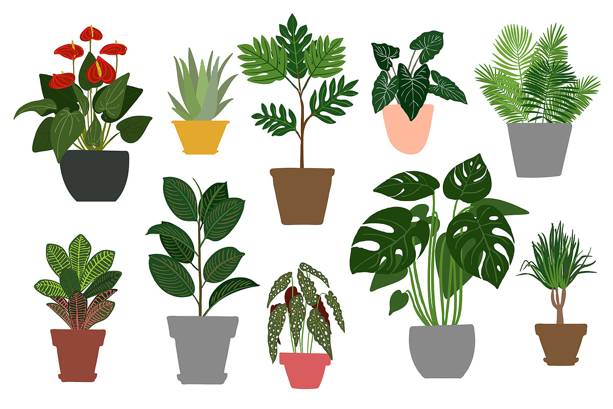 Tropical plants vector., an Illustration by irina.vaneeva (Photo 6 of 15)