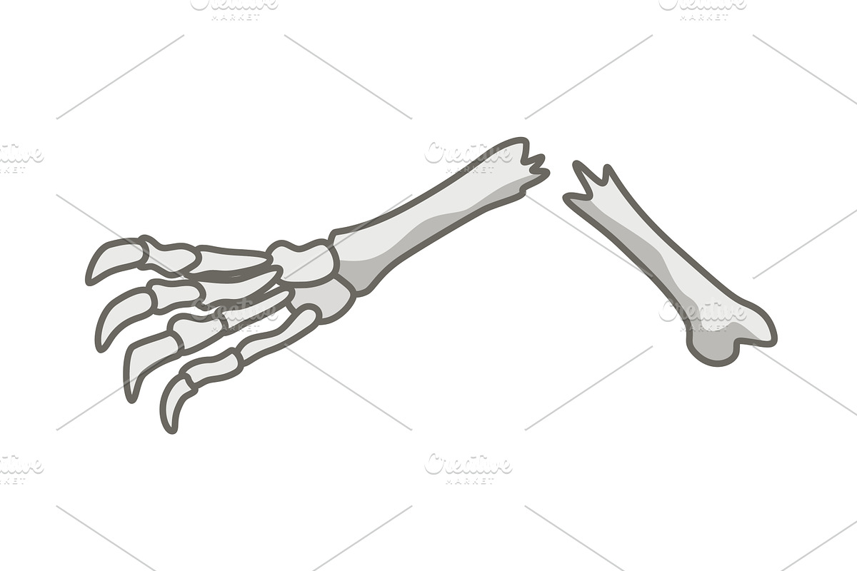 Dinosaurs skeletons parts, an Animal Illustration by the8monkey