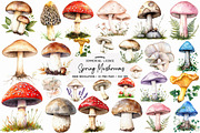 Rustic Spring Mushrooms Clipart, an Illustration by SinaCreation (Thumbnail 1 of 5)