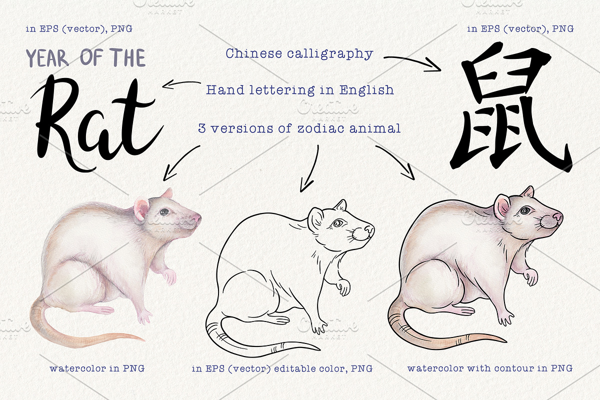 12 Chinese Zodiac Animals set, an Animal Illustration by Alena Solonshchikova (Photo 10 of 13)