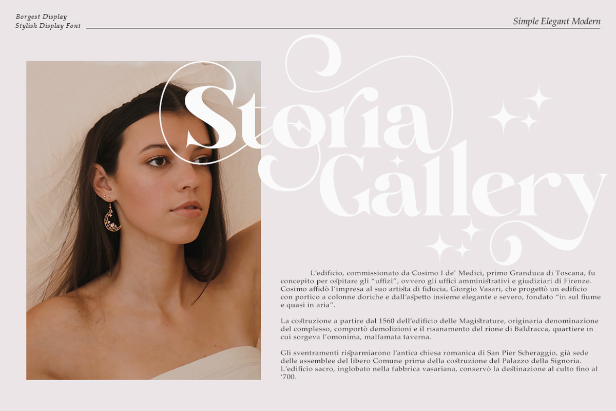 Borgest Display, a Serif Font by Black Studio (Photo 13 of 15)