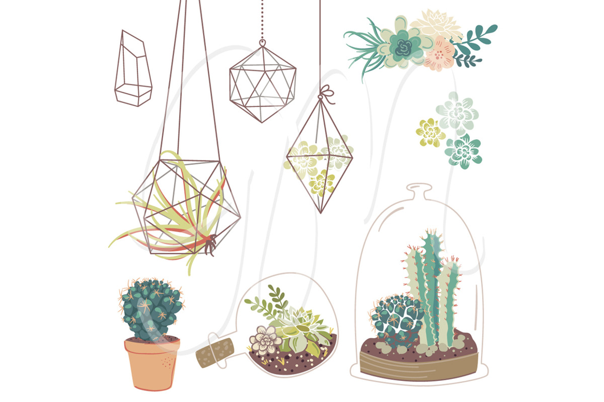 Wedding Succulents Floral clipart, an Illustration by GraphicMarket (Photo 2 of 3)