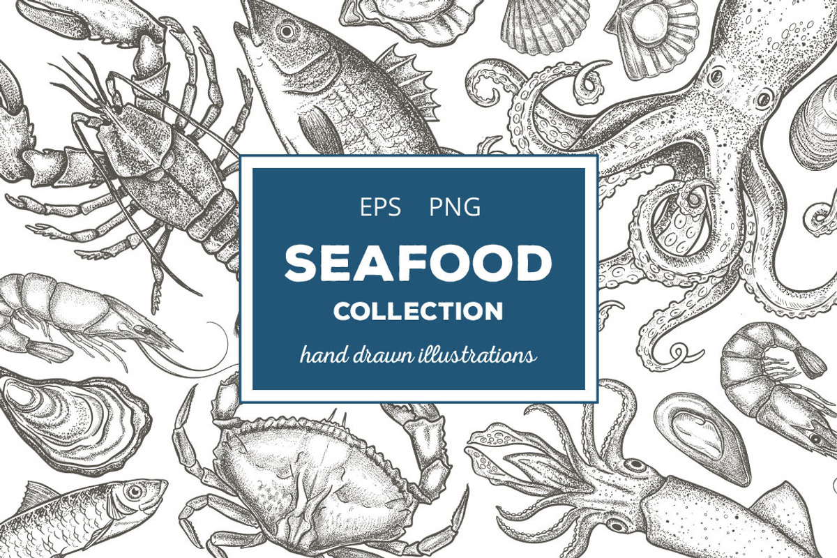Seafood Illustrations, a Food Illustration by PicByKate (Photo 1 of 5)