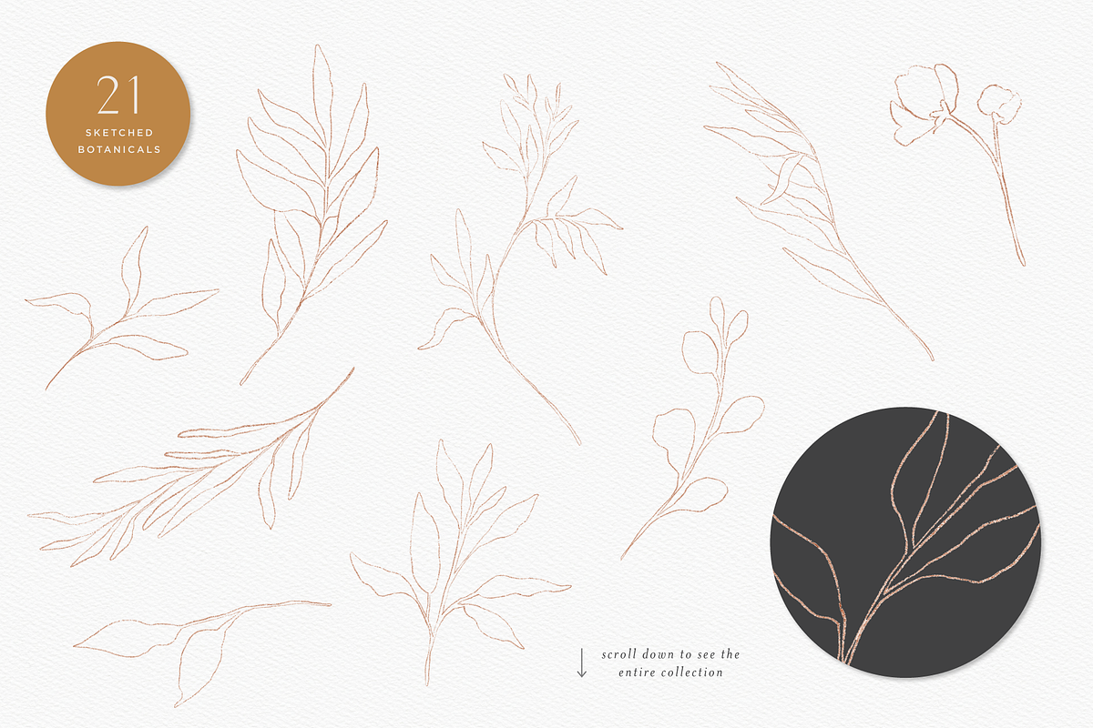 Botanica Watercolor Florals, a Texture Illustration by Opal Creative (Photo 11 of 13)