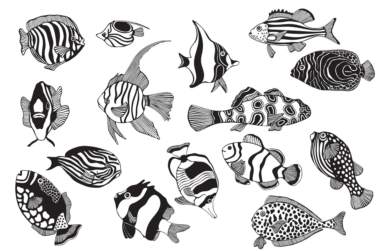 Fantastic Fish, an Animal Illustration by ImHope (Photo 5 of 5)