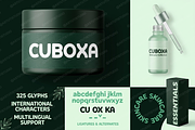 Cuboxa | Modern Elegant Serif Typefa, a Serif Font by Astuti Studio (Thumbnail 24 of 24)