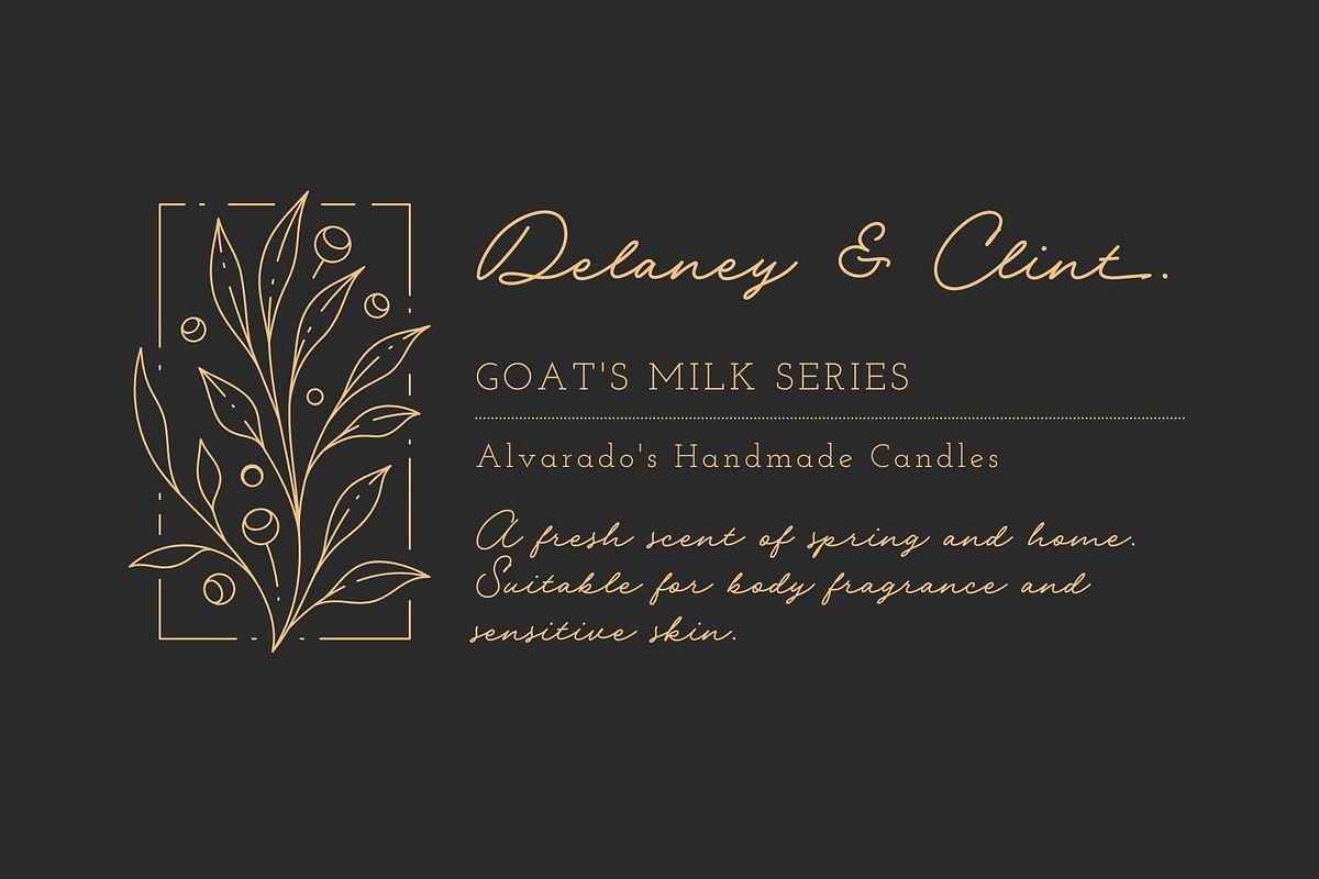 Dian Milena - Signature Script, a Script Font by Get Studio (Photo 15 of 29)