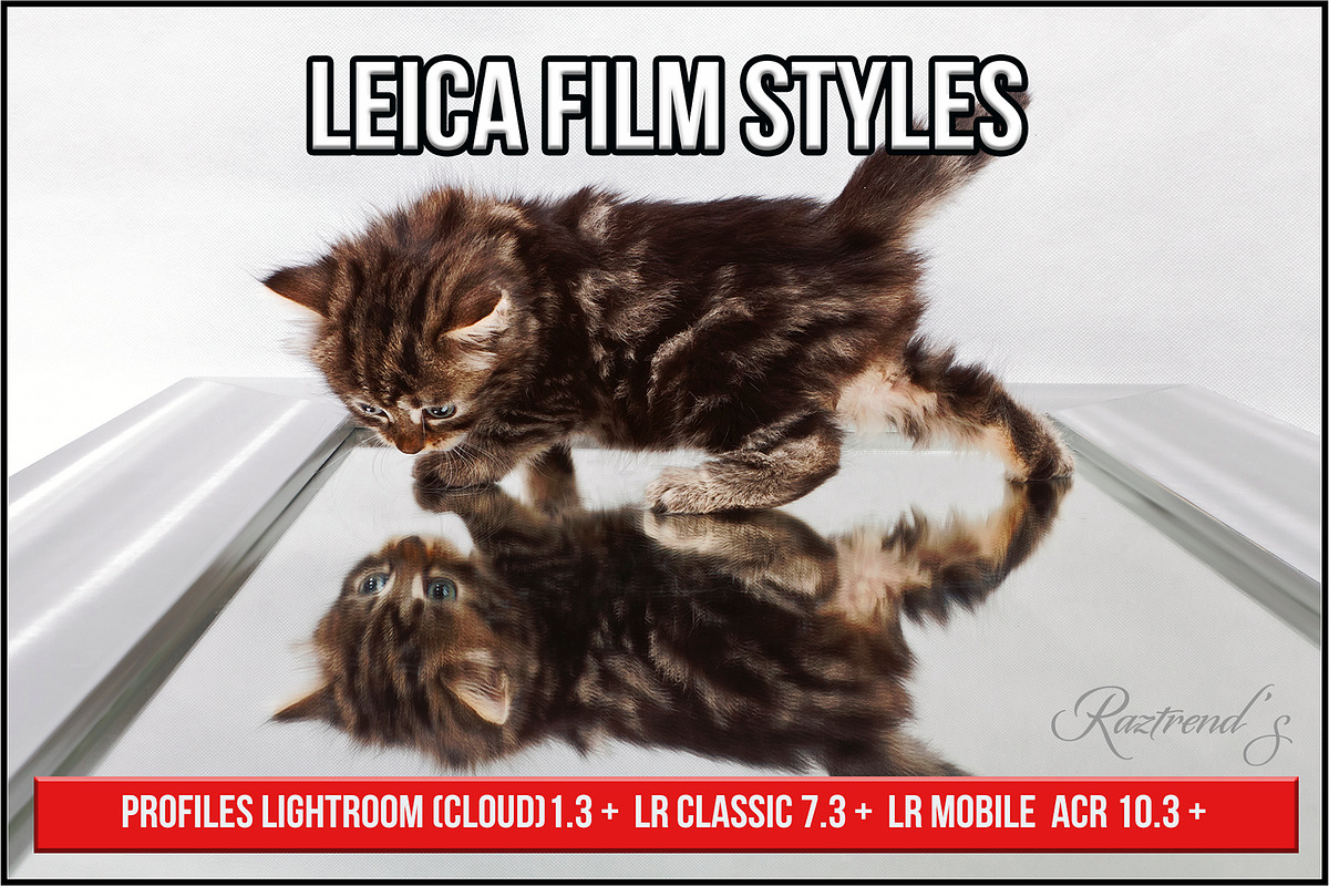Leica Film Styles, a Plug-in Add-On by Raztrend (Photo 1 of 30)