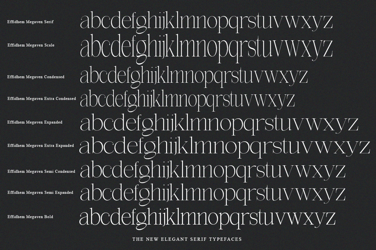 Effidhem Mevagen | 18 Font Files, a Serif Font by IM Studio (Photo 14 of 14)