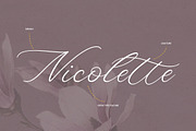 Denise Beauty, a Script Font by kerismaker (Thumbnail 6 of 10)