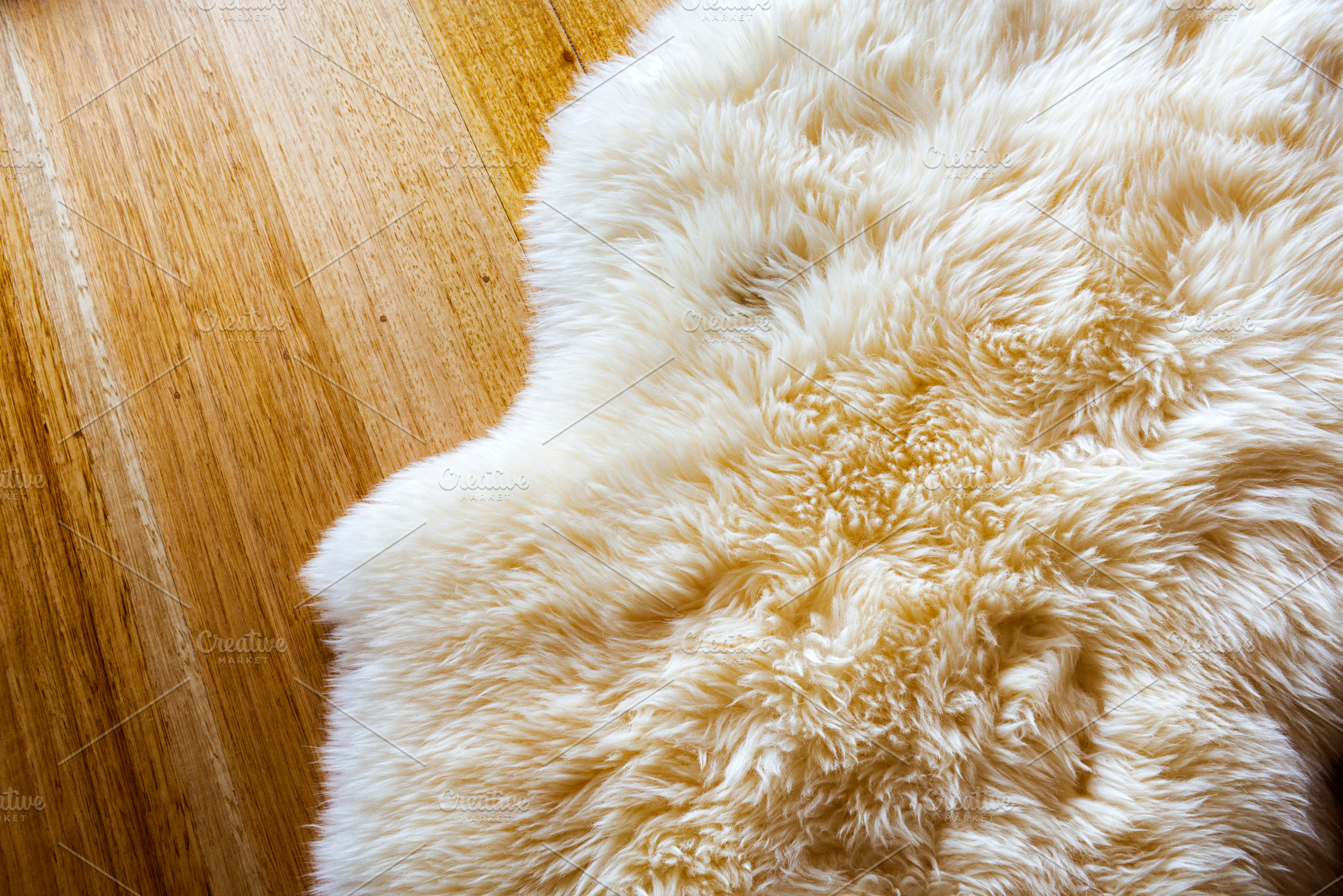 Sheepskin, a Beauty & Fashion Photo by THP Creative