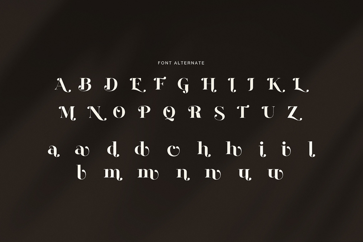 Emalia Elegant Serif Font, a Serif Font by Perfectype (Photo 8 of 8)