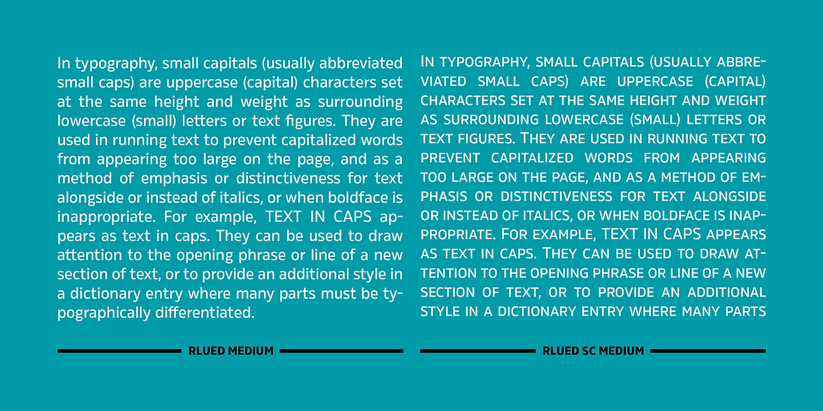 Rleud, a Sans Serif Font by Stawix (Photo 7 of 12)