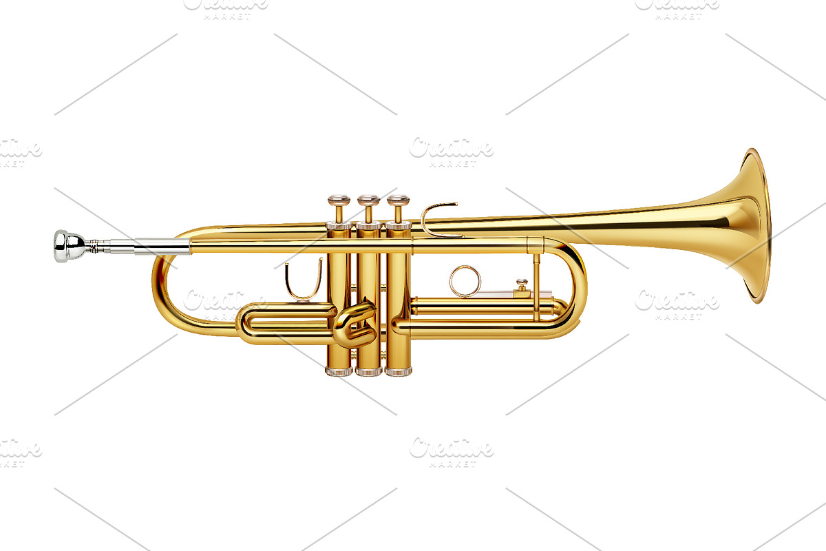 Musical Instruments Vector Set, an Object Illustration by Zonda (Photo 8 of 9)