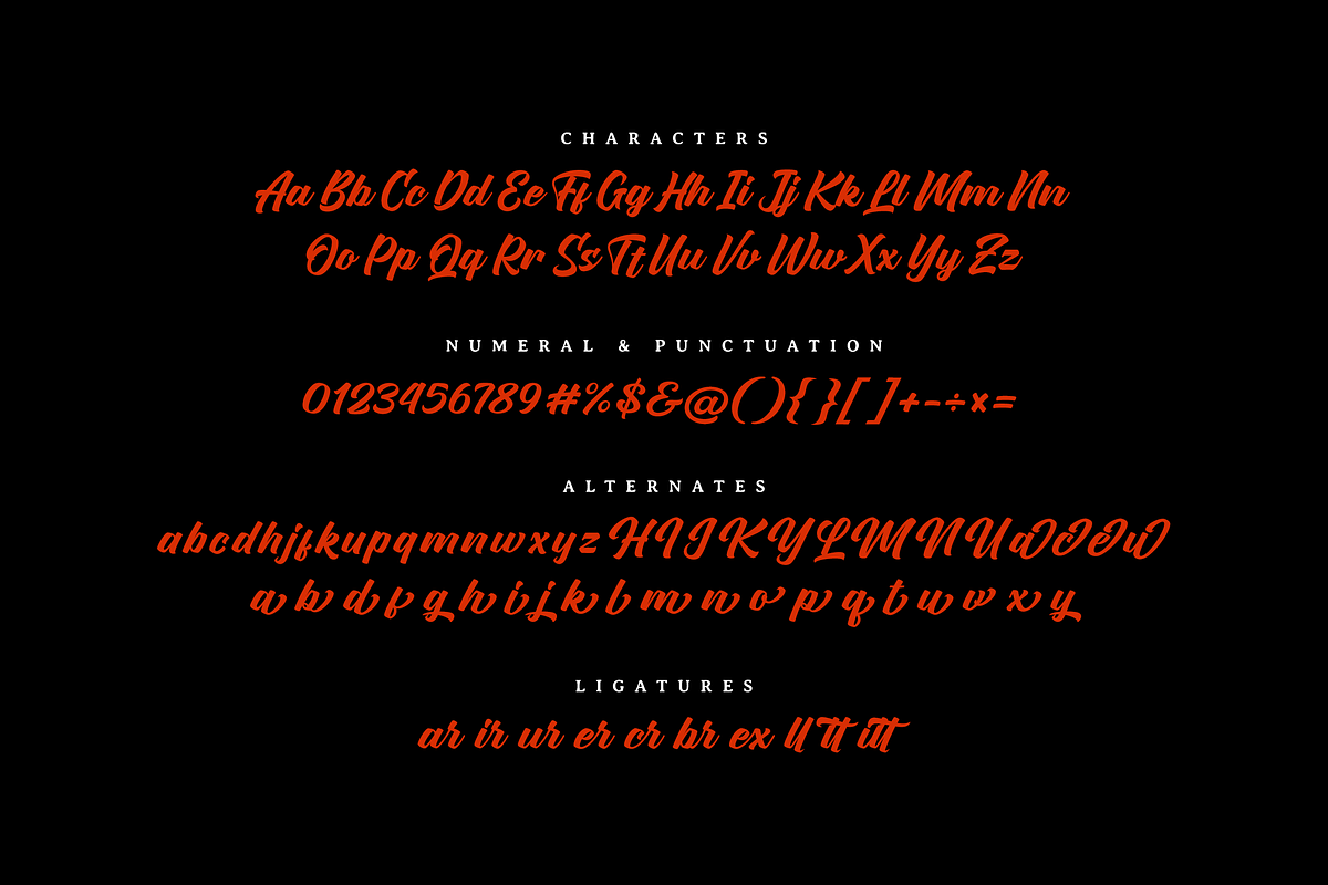 Hullgaria - Bold Script Fonts, a Script Font by Namara Creative Studio (Photo 10 of 12)