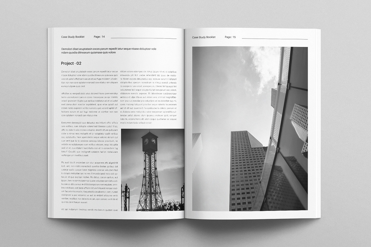 Digital Case Study Booklet Template, a Brochure Template by E-Type (Photo 6 of 7)
