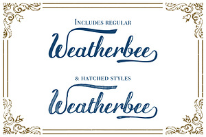 Weatherbee Script