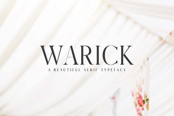 Warick Serif Font Family preview 8