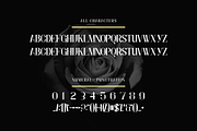 Almayra Font, a Serif Font by brahamb_design (Thumbnail 5 of 12)