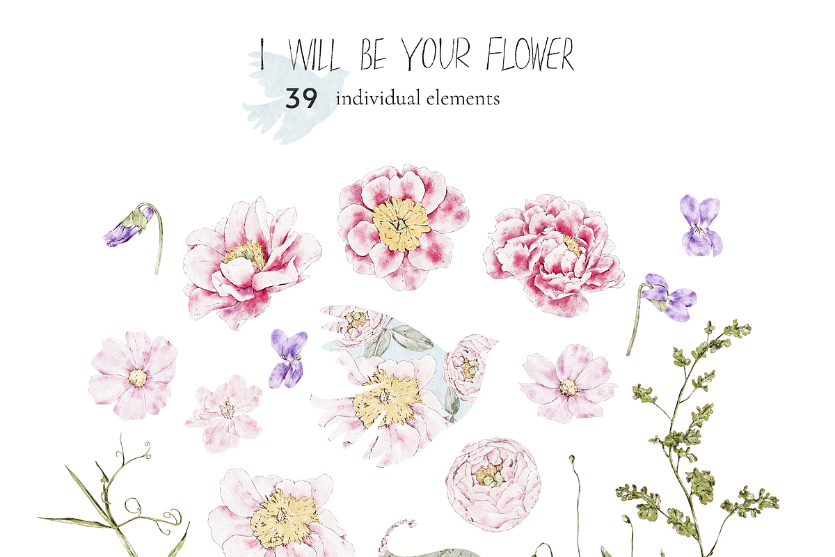 Floral watercolor collection, an Illustration by lilisprints (Photo 2 of 5)