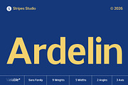Ardelin Variable, a Sans Serif Font by Stripes Studio (Thumbnail 1 of 15)