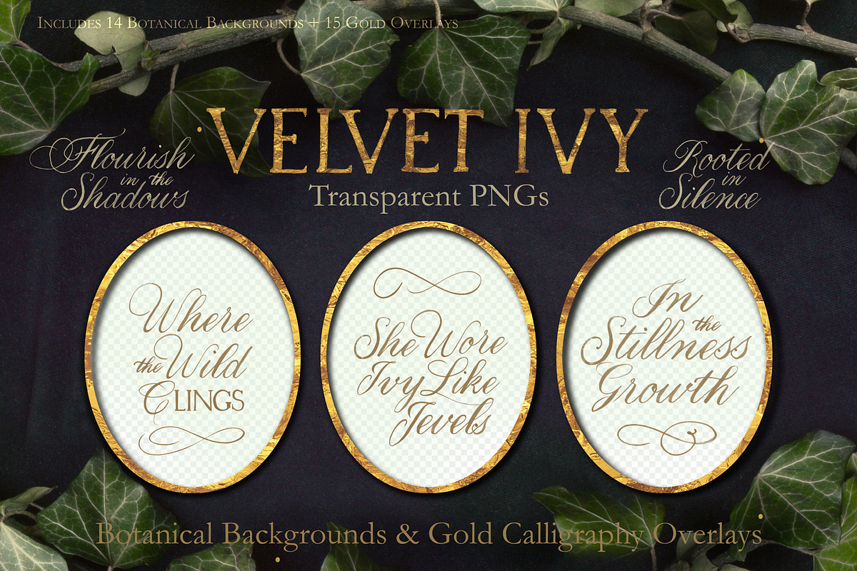 Velvet Ivy – Botanical Backgrounds |, a Background Graphic by Aga Silva (Photo 5 of 9)