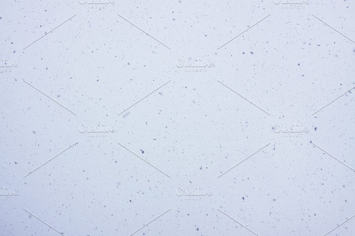 Snowfall textures and overlays, a Nature Photo by pictures for you (Photo 7 of 15)