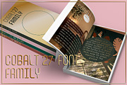 Cobalt 27 Modernist Font Family, a Sans Serif Font by Lee Iley (Thumbnail 1 of 6)