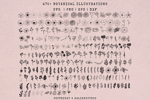 475 Botanical Illustrations SVGs