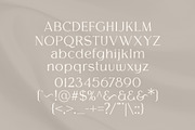 Melion, a Serif Font by OWL KING (Thumbnail 5 of 13)