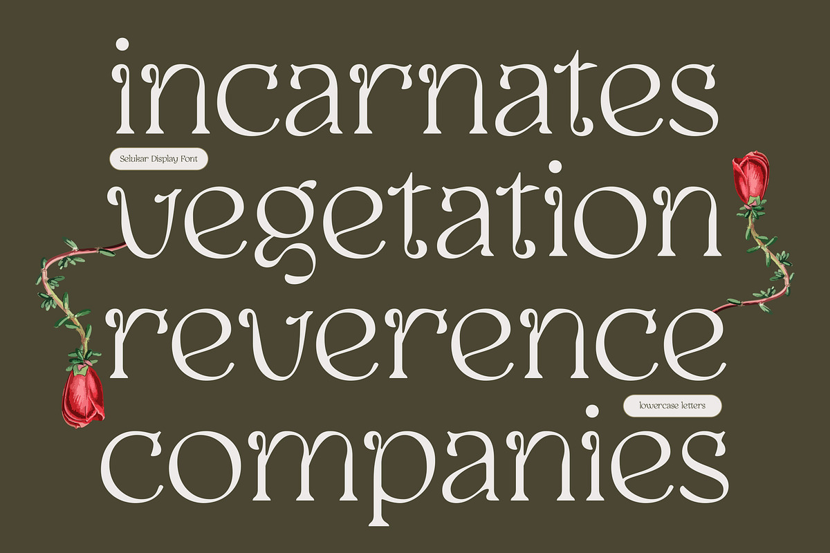 Selukar - Vintage Display Serif Font, a Serif Font by Artflorara (Photo 6 of 15)