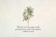 Handwritten Font Lavender Lullaby, a Script Font by Perplexitics (Thumbnail 6 of 11)