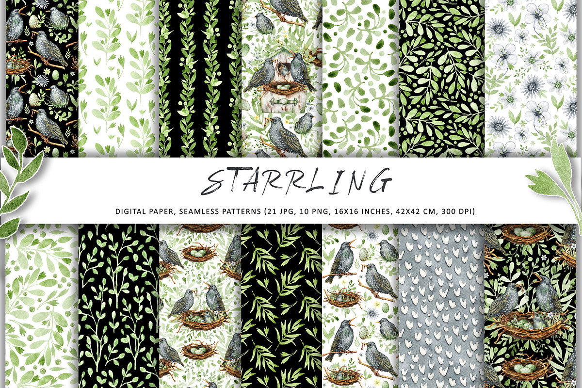 Starling family, spring bird, plants, an Animal Illustration by Artmanata (Photo 3 of 16)