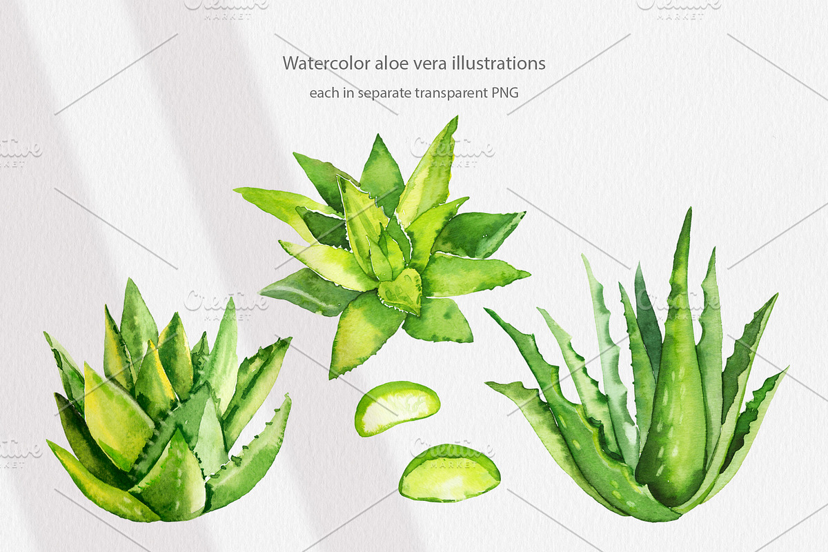 Cosmetic Ingredients Watercolor set, a Healthcare Illustration by Volha Studio (Photo 16 of 19)