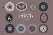 Hand Painted Insects Clipart, an Illustration by gamm (Thumbnail 5 of 9)