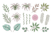 Tropical floral set | 105 elements!, an Object Illustration by bariskina (Thumbnail 4 of 14)